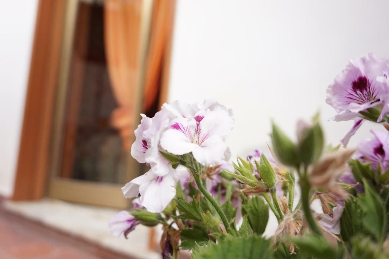 B&B Sikily Naxos Джардіні-Наксос Екстер'єр фото